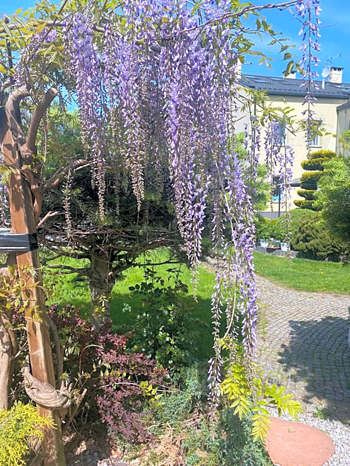 Apartamenty i pokoje „Pod Jedynką”