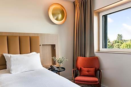 Deluxe King Room with Lake View