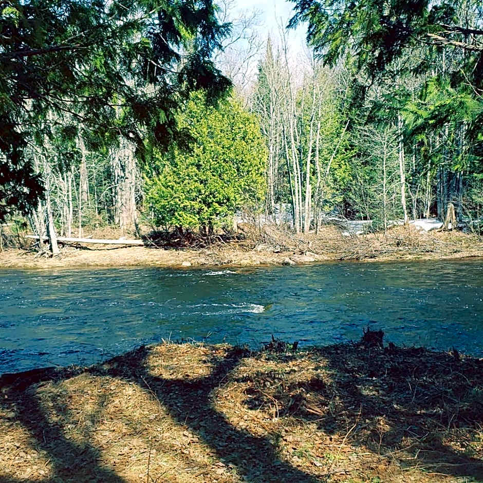 North Ironwood Acres - Black River Lodge