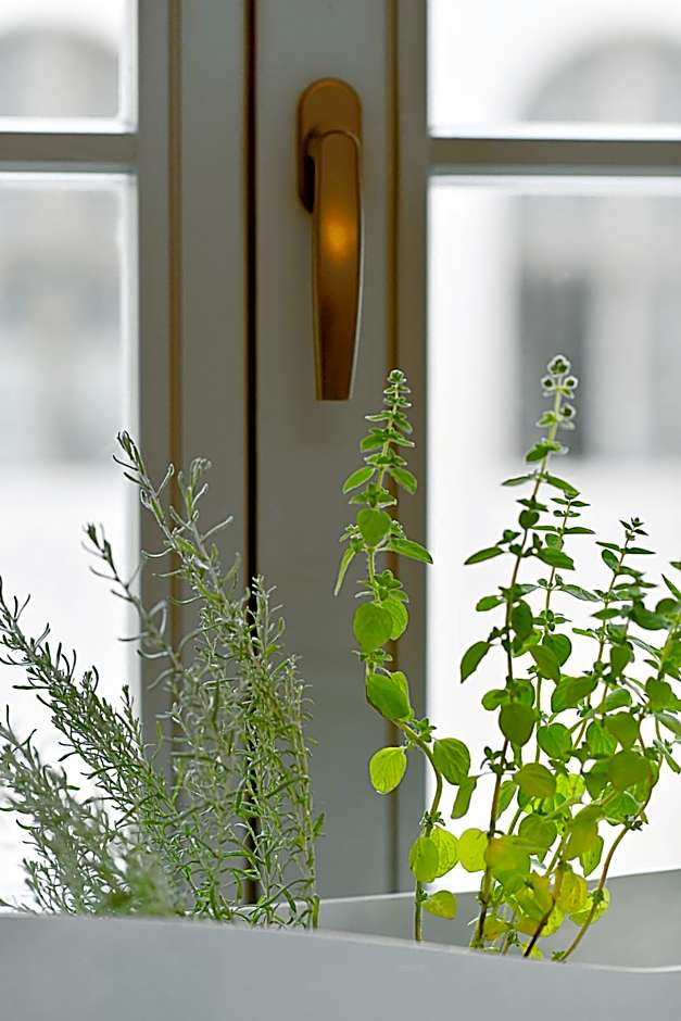 Herbal Hotel Wrocław