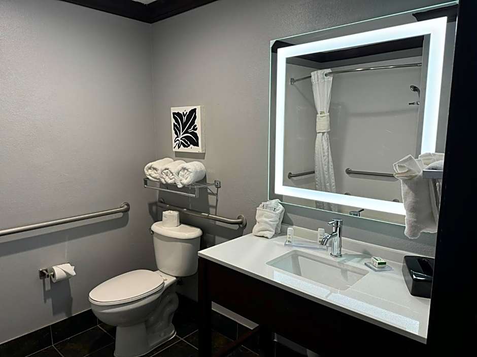 Hawthorn Suites By Wyndham Lubbock