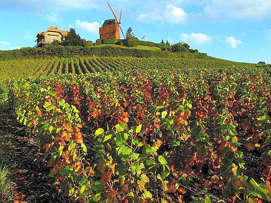 ibis Styles Reims Centre