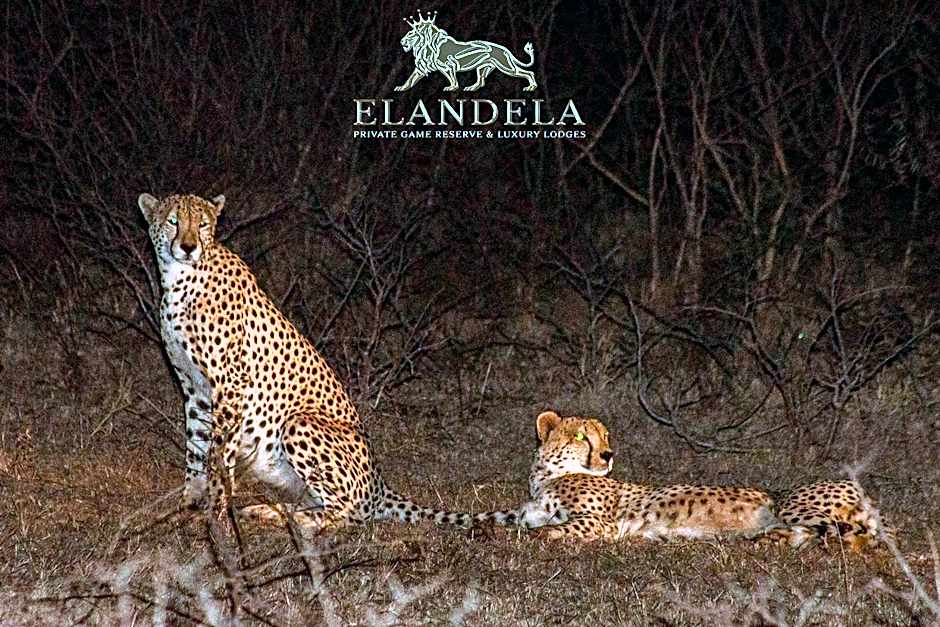 Elandela Private Game Reserve and Luxury Lodges Pty Ltd