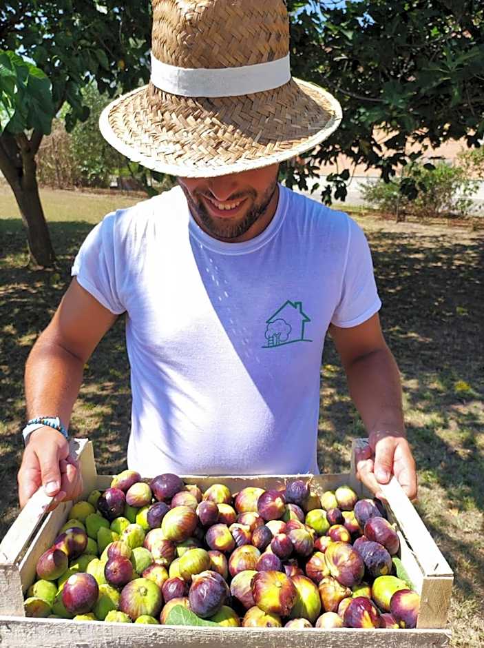 Eco House San Michele