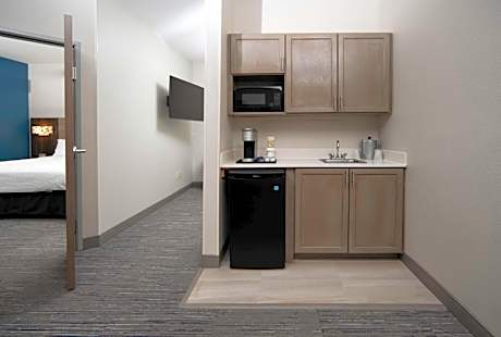 1 King 1 Bedroom Suite with Living Area with Bath Shower
