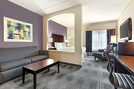 One-Bedroom King Suite with Sofa Bed- Non Smoking