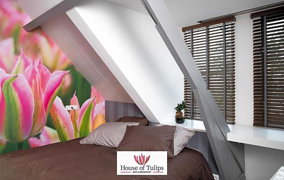 House of Tulips