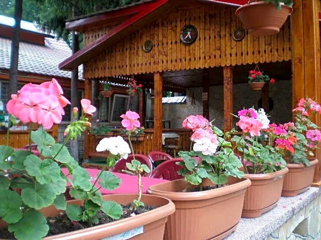 Complex Turistic Caprioara