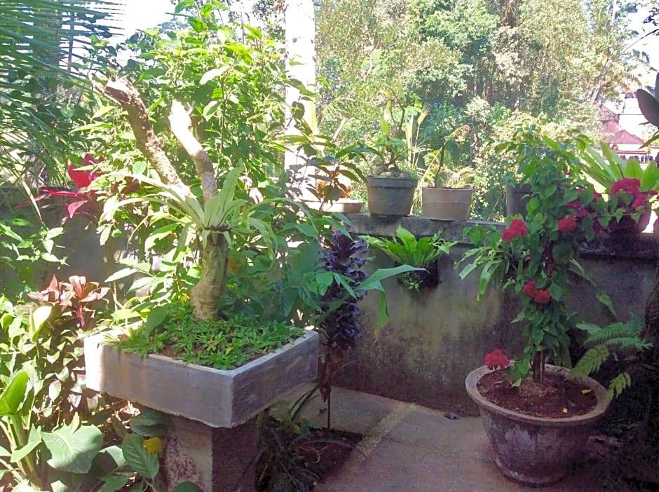 Rumah Irak Et Kadek Bali – Ubud, CO