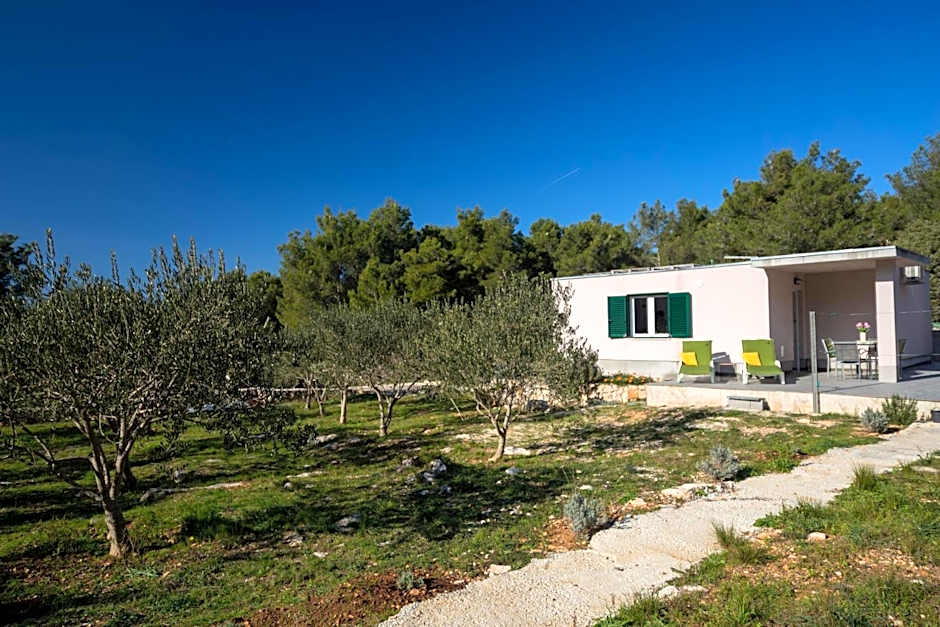 Olive Eden Holiday Home