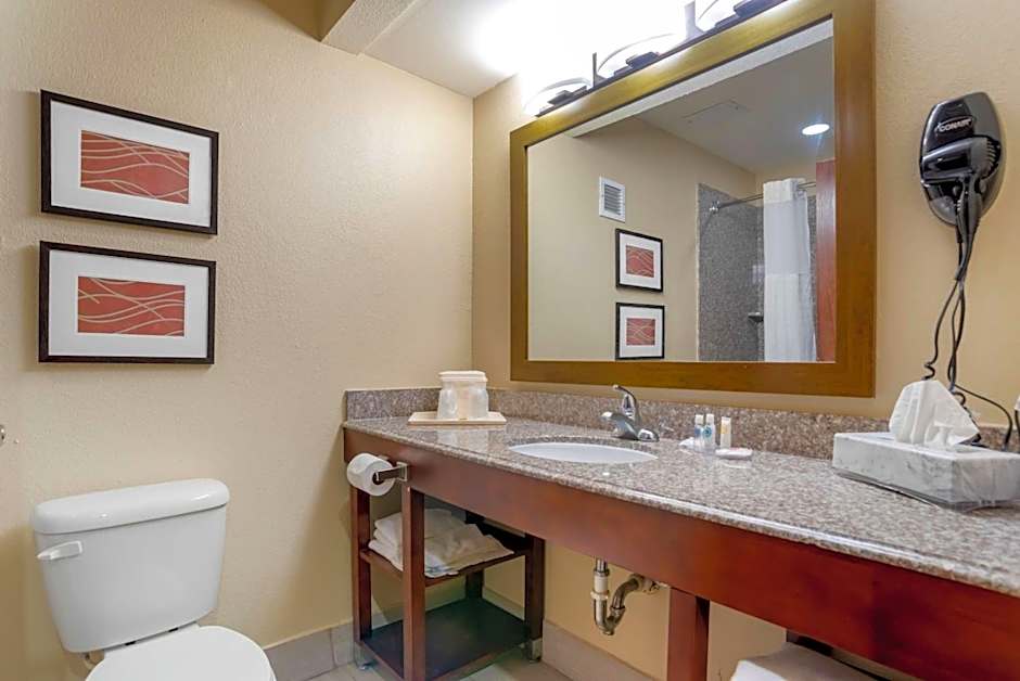 Comfort Inn University Area