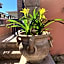 Villa Marogna Rooms And Breakfast