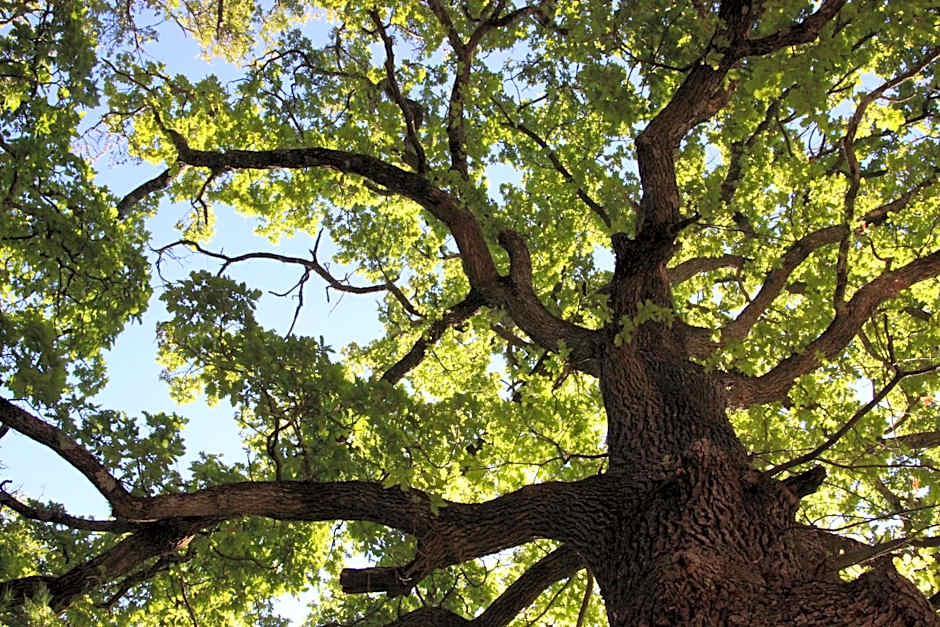 Le Hameau Fleur de Pierres , Chambre , Gite et Table d'Hôtes