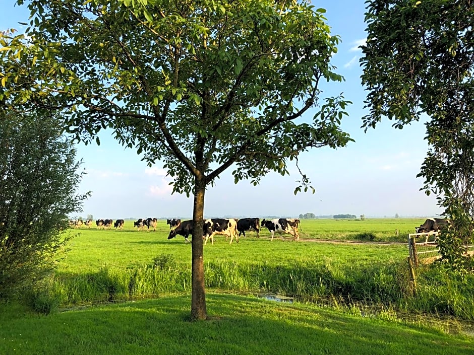 Slapen op het platteland