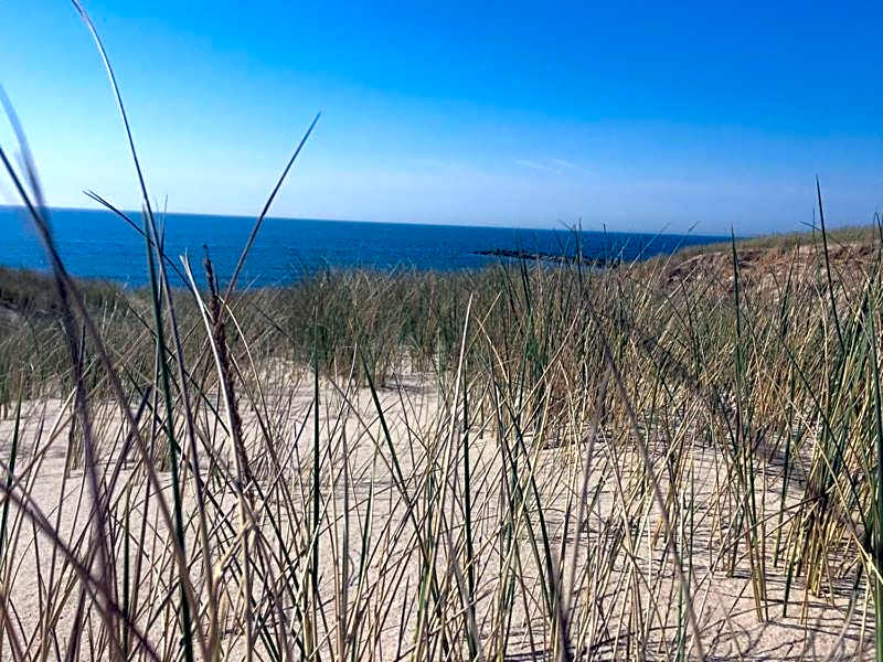 Agger Tange Feriecenter lejligheder - 100 m fra Vesterhavet