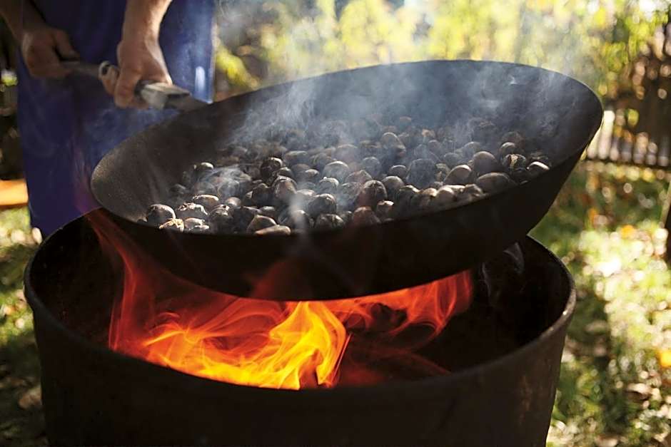 PALMENGARTEN Hotel Gstör