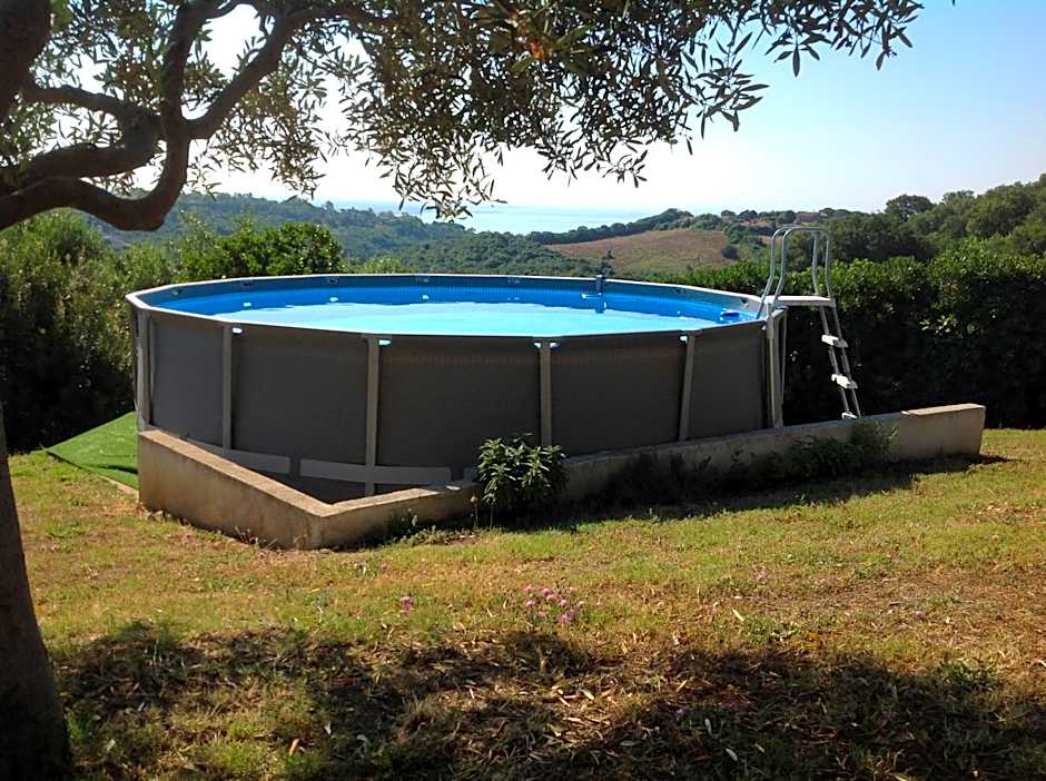 Bed & Breakfast La Volpe e L'Uva