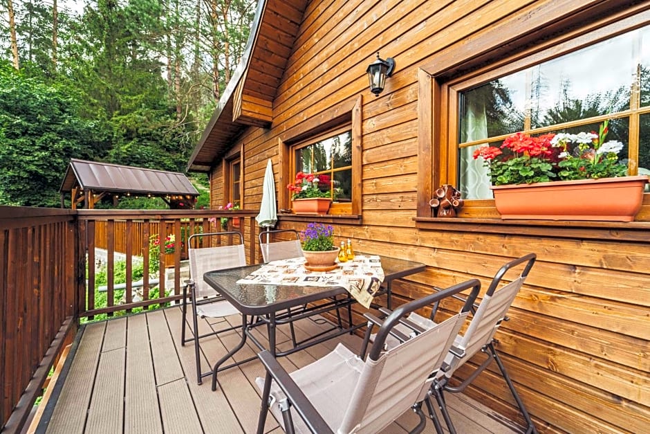 SOVIA WELLNESS CHATA s jacuzzi kaďou a saunou, Čingov