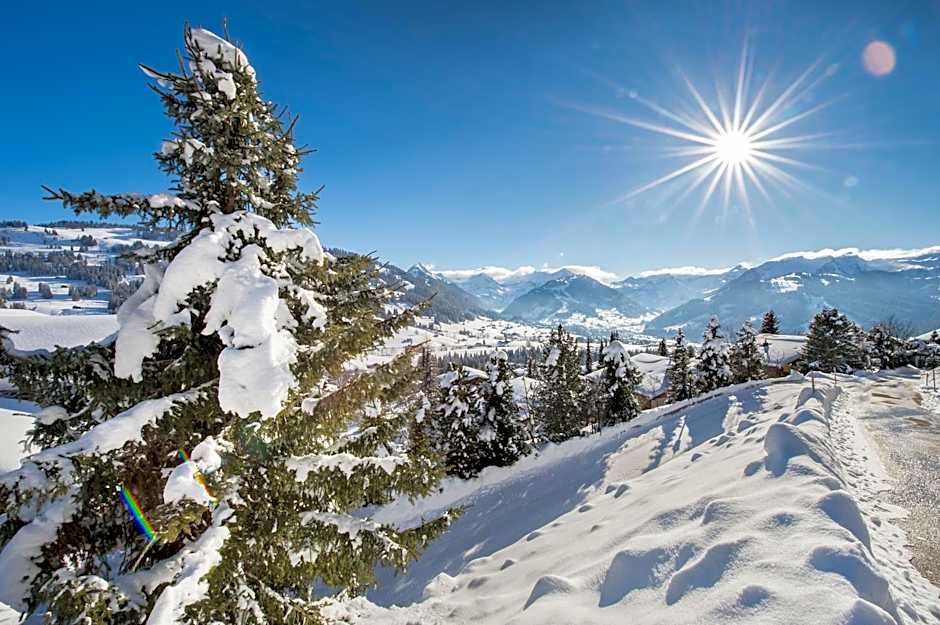 Hotel Le Grand Chalet Gstaad