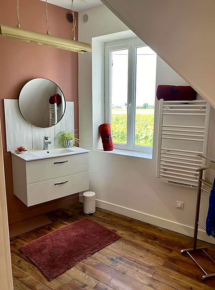 Les Hirondelles du Marais