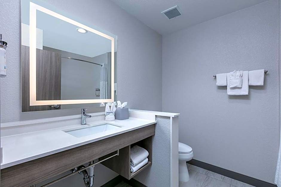 Holiday Inn Express & Suites - Dallas Plano North By IHG