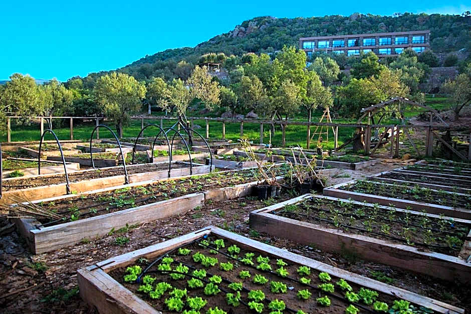 Assos Longevity Hotel