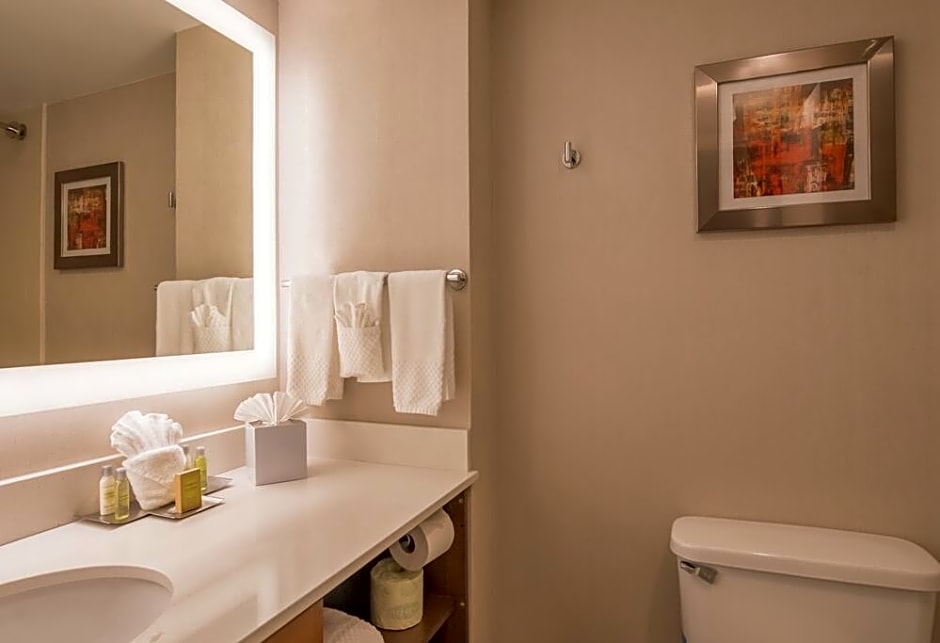 DoubleTree by Hilton Atlanta North Druid Hills/Emory Area