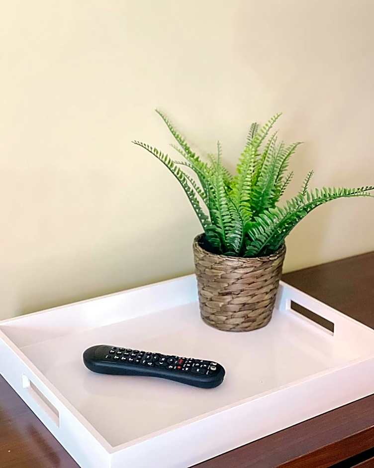 The Local - St. Augustine