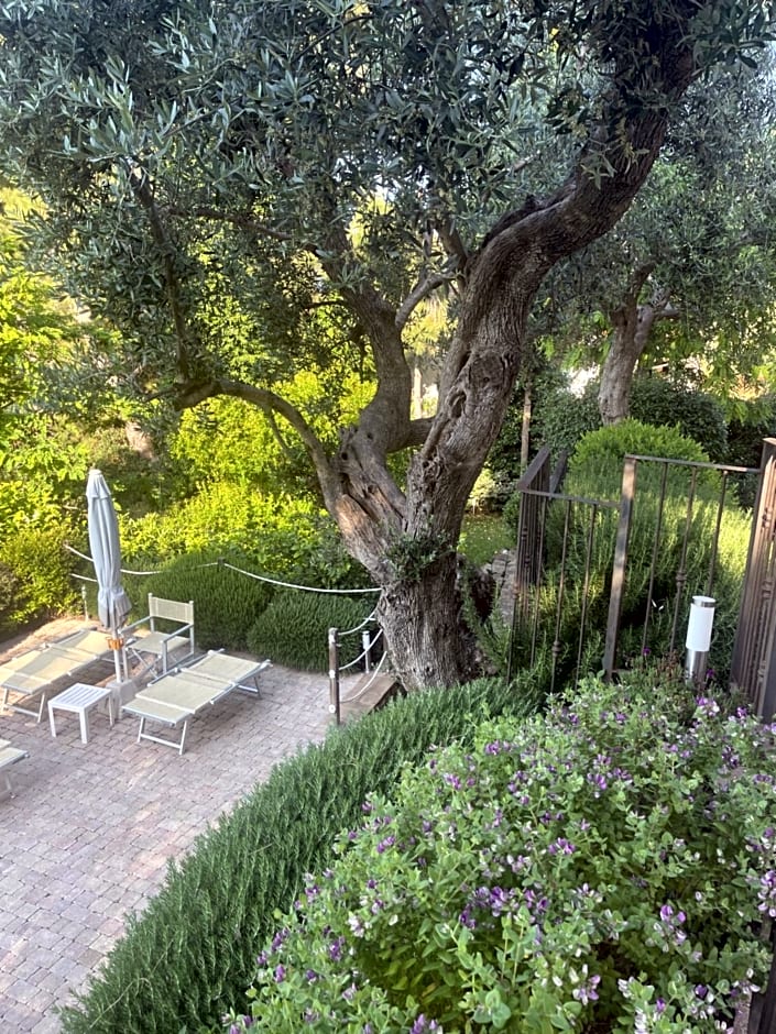 Amore a prima vista b&b