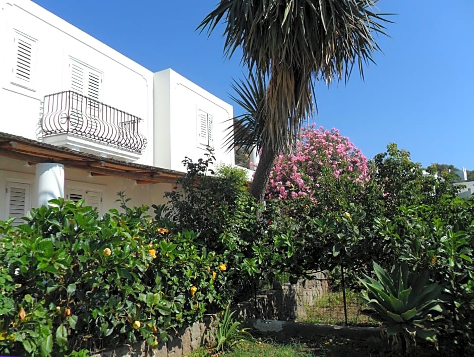 Hotel O Palmo