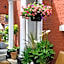 Darwins Townhouse