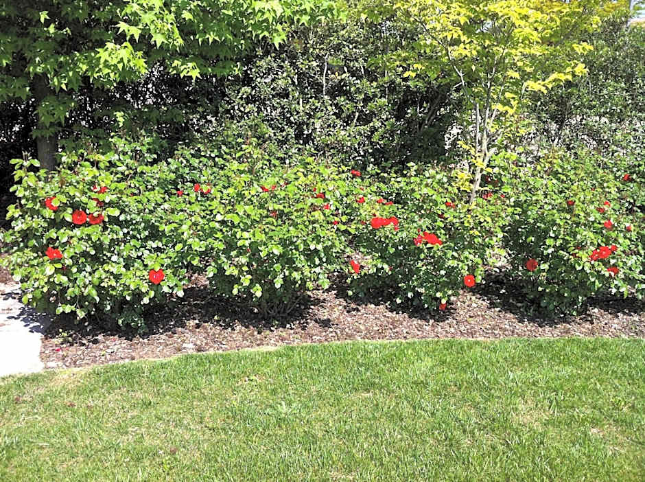 Relais Villa Annamaria Bed end Breakfast