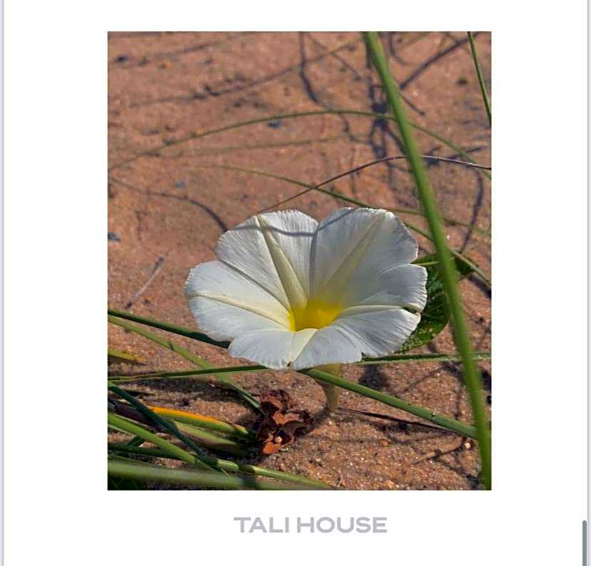 TALI HOUSE - Casa Hotel