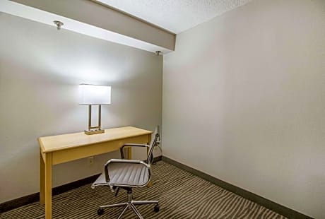 1 King Bed, Suite, Nonsmoking