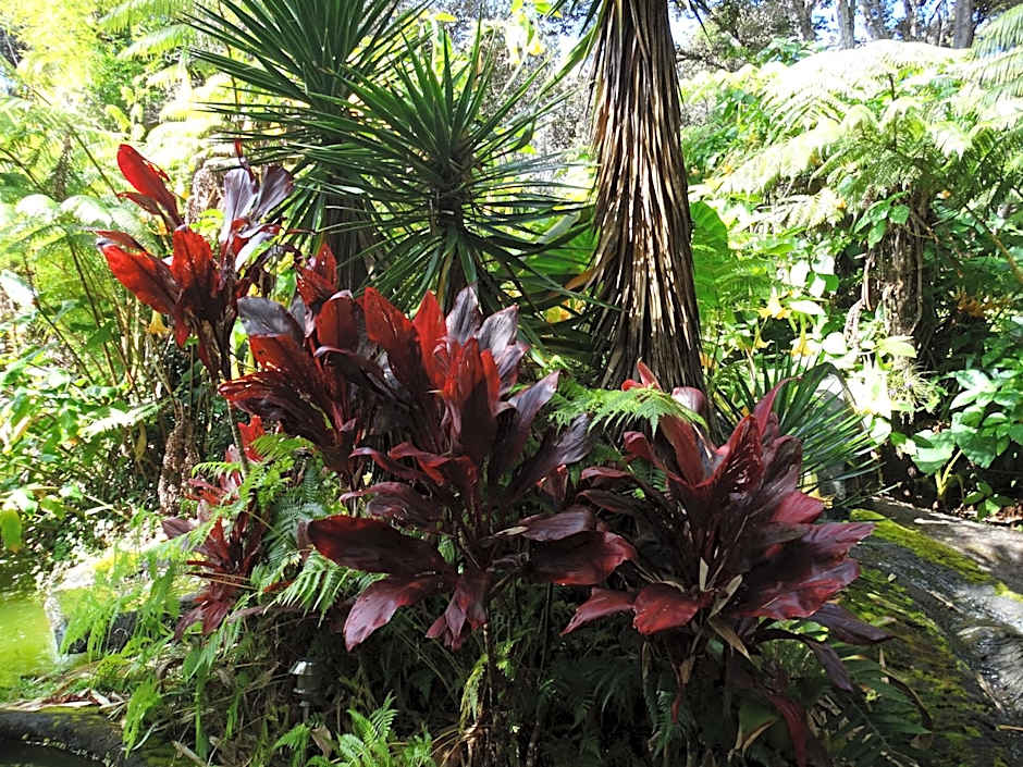 Chalet Kilauea