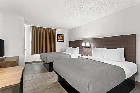 Queen Suite with Two Queen Beds - Non Smoking