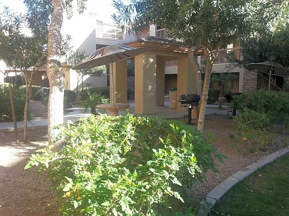 Siegel Select Casa Grande