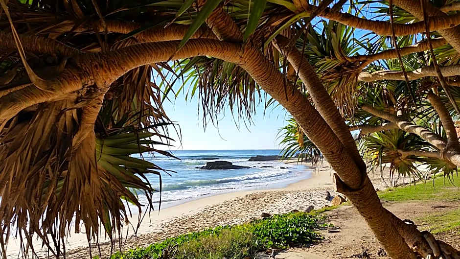 Forest view bungalow