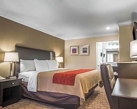 Deluxe Room, 1 King Bed, Jetted Bathroom Tub, Non Smoking