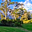 Rolling Hills Country Stay B&B