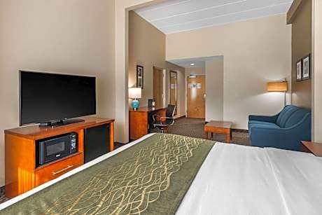 1 King Bed, Suite, Nonsmoking, Accessible