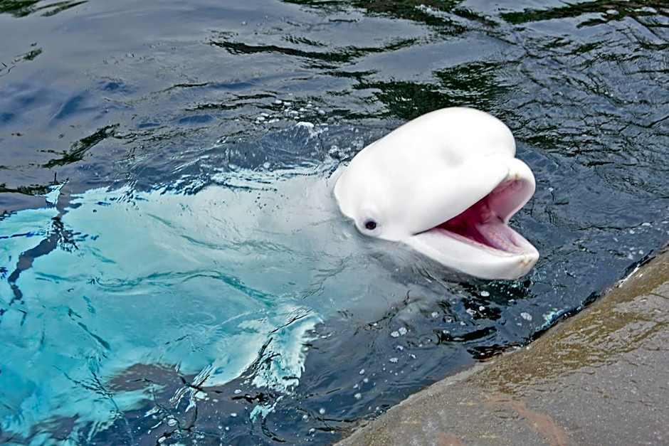 Holiday Inn Express Mystic By IHG