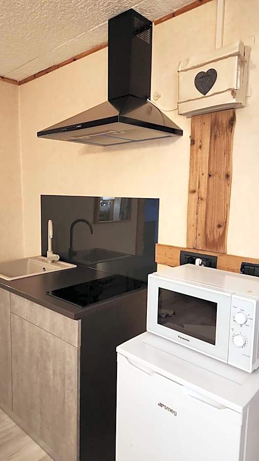 Apartments Suites LAC BLEU