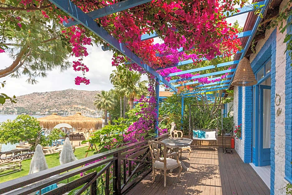 Sabrinas Haus - Adult Only +14