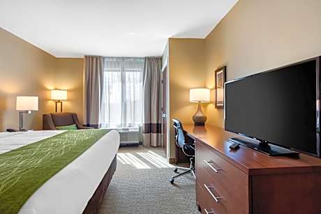 King Room - Non-Smoking