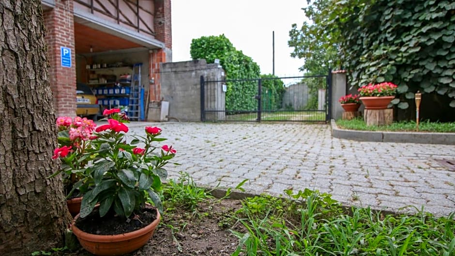 Spighe Paglia e Girasole