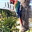 Parrot World - Les Lodges