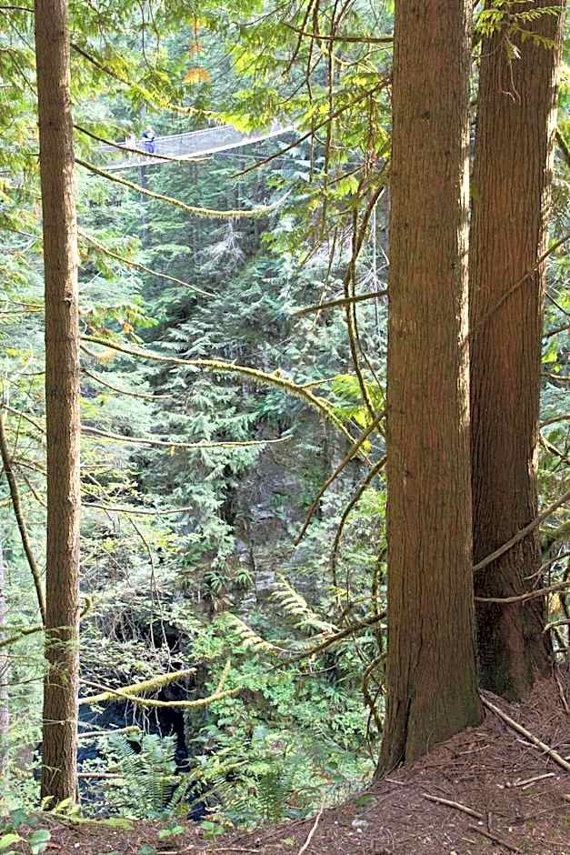 Holiday Inn North Vancouver By IHG