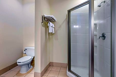 1 King Bed Suite Nonsmoking