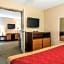 Econo Lodge Inn & Suites Conference Center Dublin